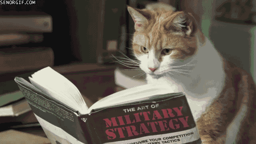 The Art of Military Strategy